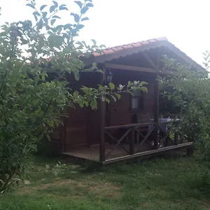 Salkim Konak Ve Agac Evler Selçuk